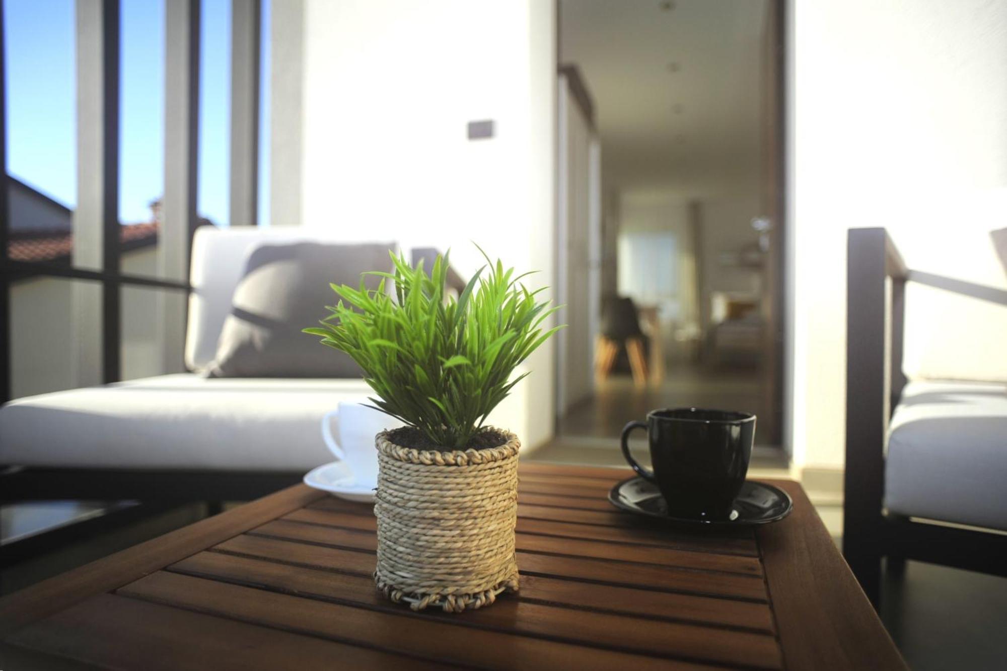Apartment Black & White *